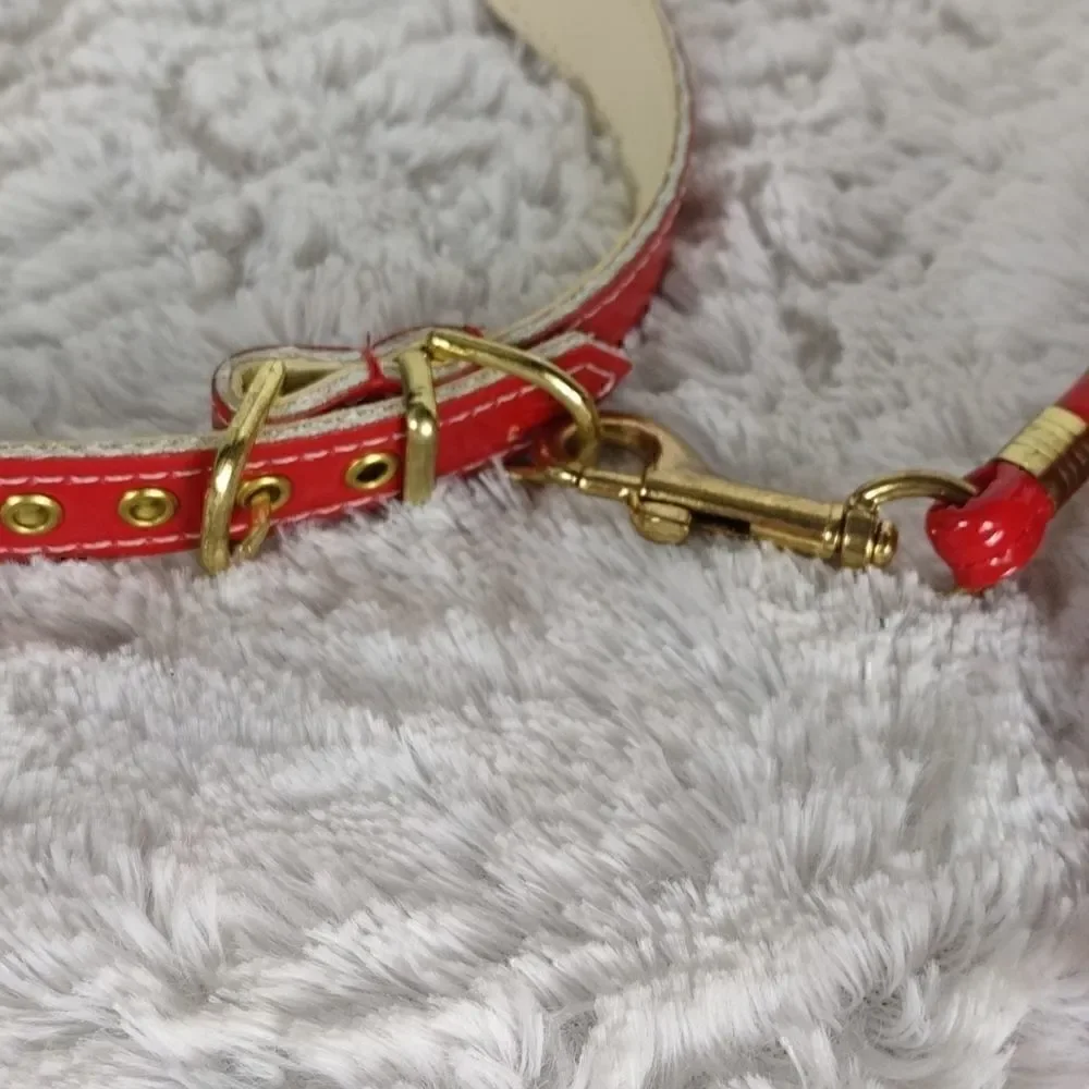 Red Dog Collar & Leash 18